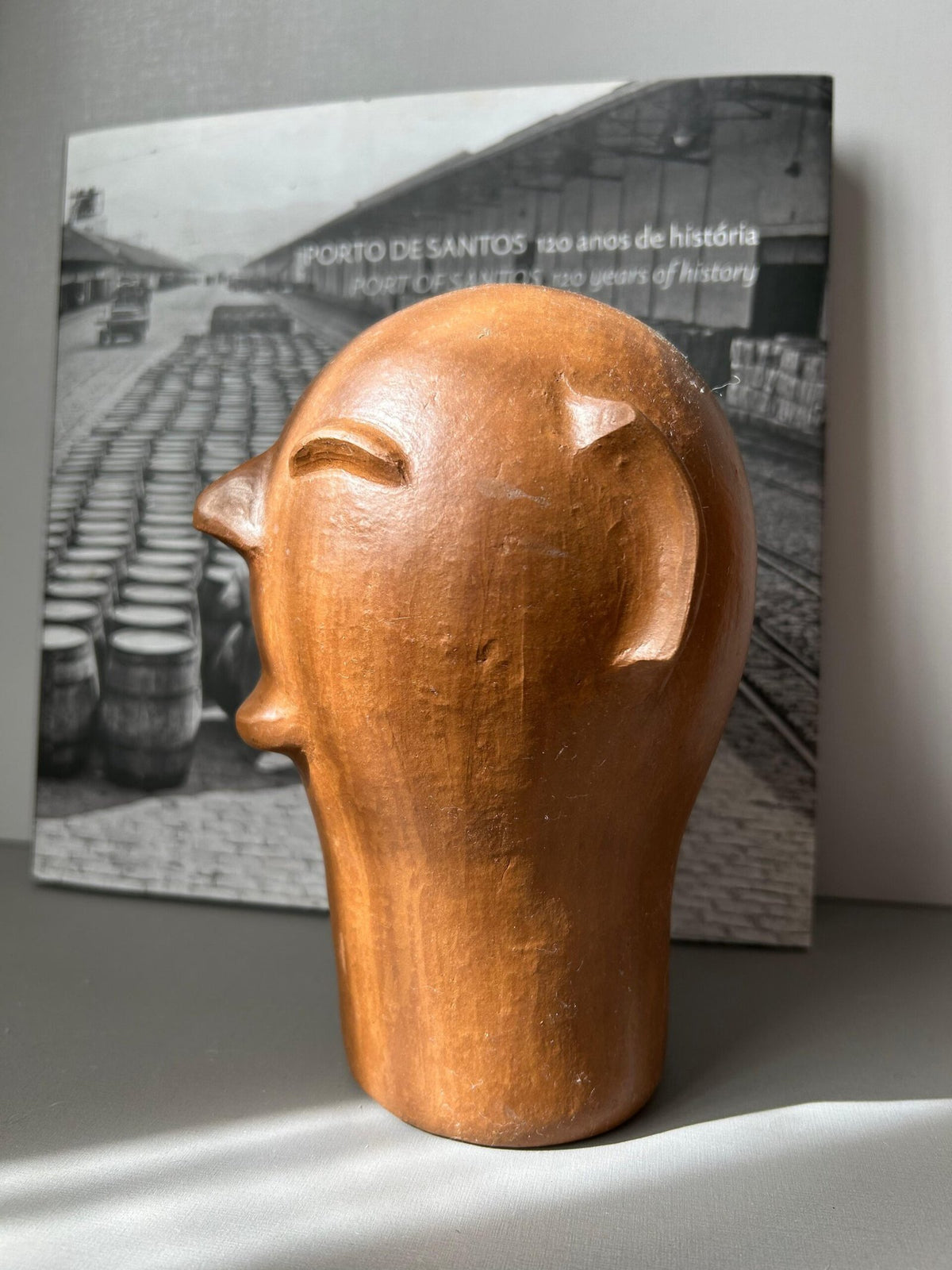 Cabeça Cida Lima