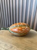 Cacau em Madeira - Imagem 3