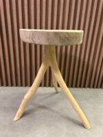 Banco Ilha do Ferro Redondo - Imagem 3