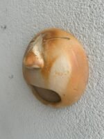 Bocejo Redondo G - Imagem 3