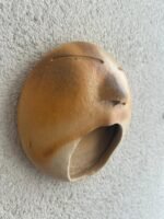 Bocejo Redondo M - Imagem 2