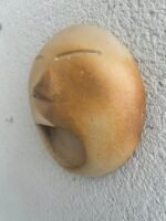 Bocejo Redondo M - Imagem 3