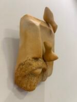 Face São Francisco - Imagem 2