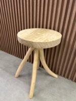 Banco Ilha do Ferro Redondo - Imagem 2