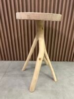 Banco Ilha do Ferro Redondo - Imagem 3