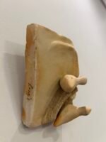 Face São Francisco - Imagem 3